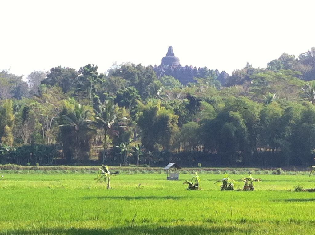 Anugrah Borobudur 1 & 2 Магеланг Екстериор снимка