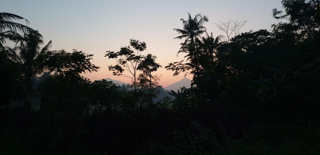 Anugrah Borobudur Магеланг Екстериор снимка
